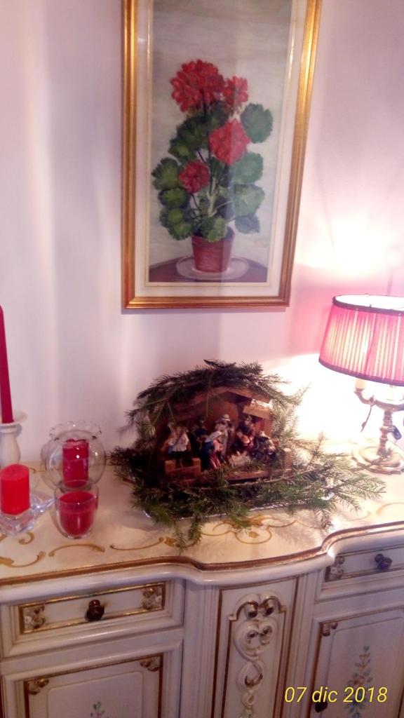 Appartamento Piuisna photo 4