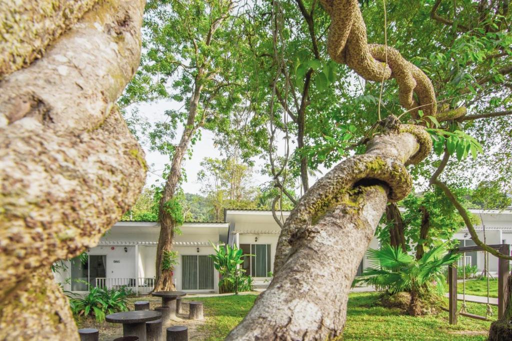 Whalecome Aonang Resort-SHA Extra Plus photo 1