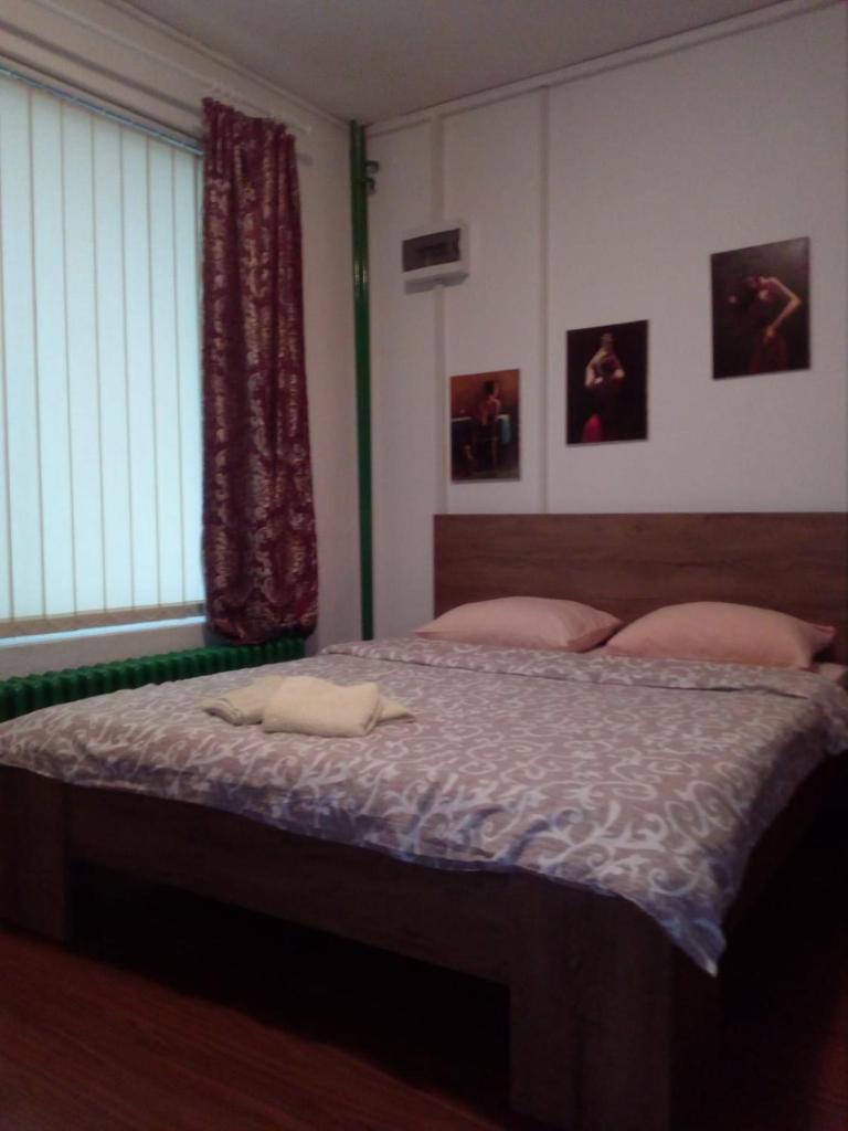 Apartment Viktor stan na dan photo 4
