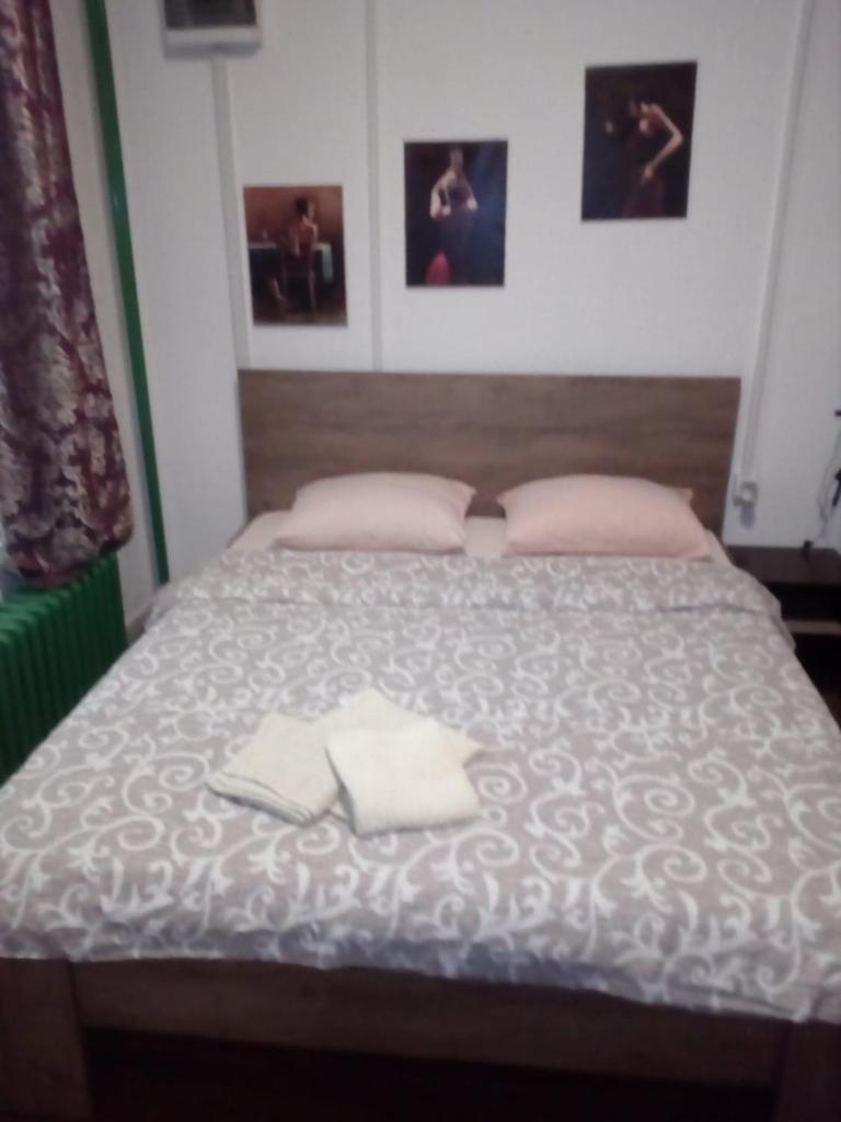 Apartment Viktor stan na dan photo 2