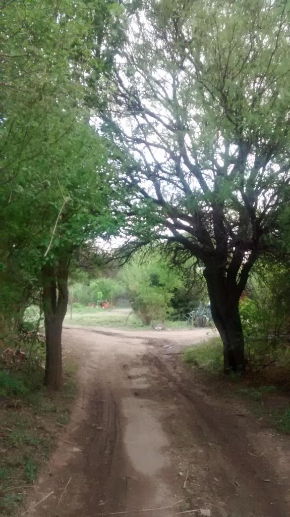 Casilla Rodante Rural en San Marcos photo 3