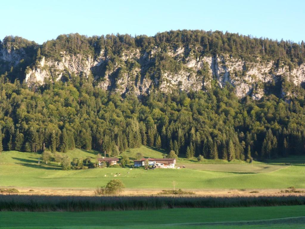Pfandlhof photo 1