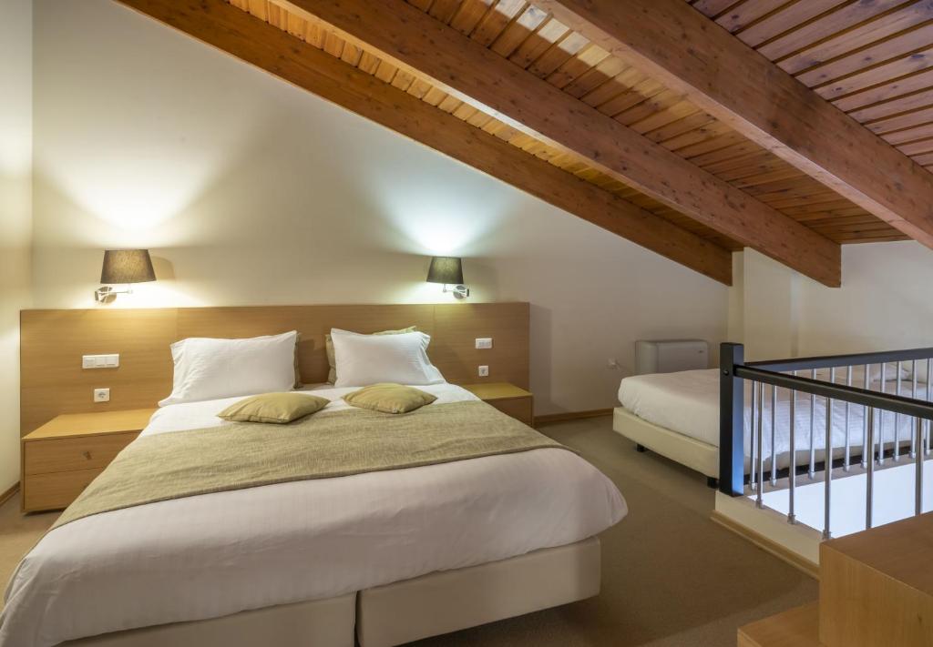 Domotel Anemolia Mountain Resort photo 2