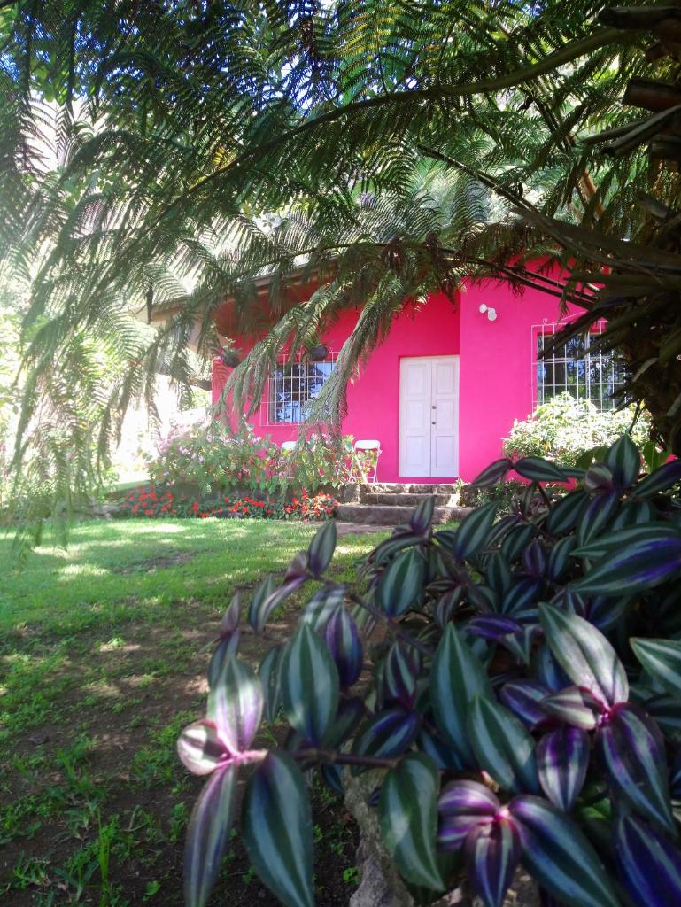 Pink house photo 1