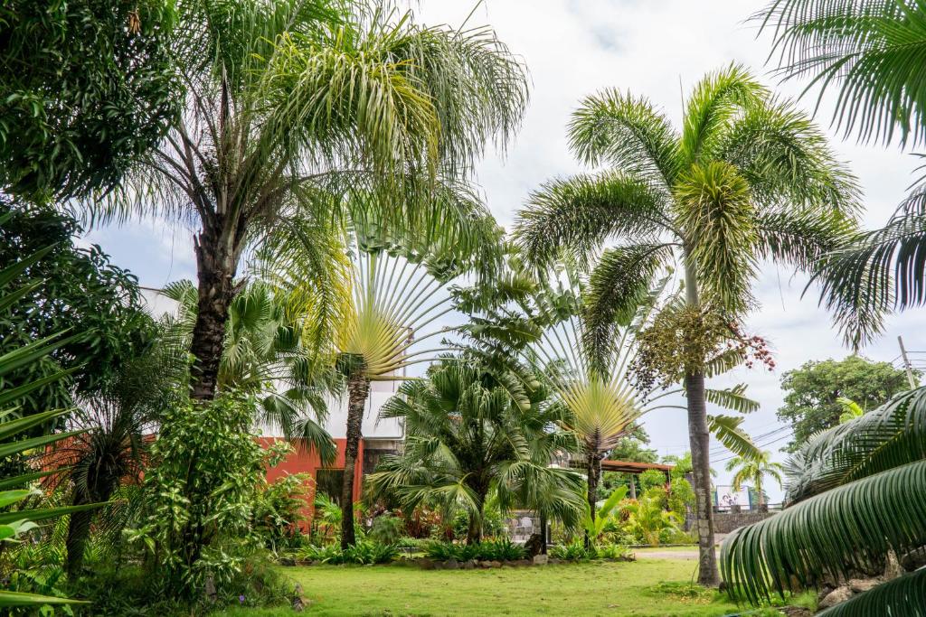 Emoyeni Gardens photo 1