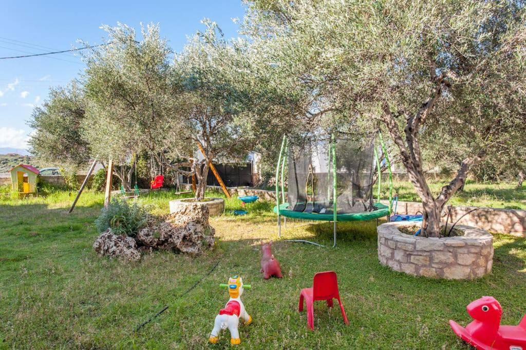 Olive Tree Farm 200m from the beach photo 2