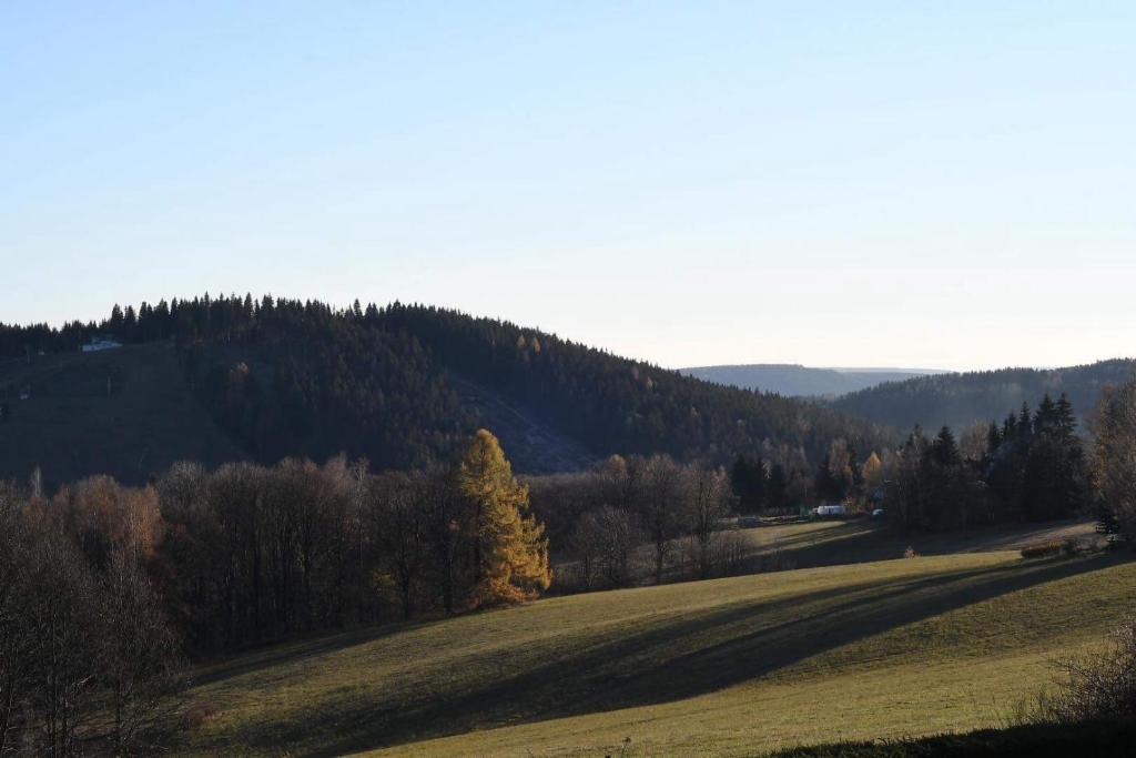 Bublava 394 photo 2