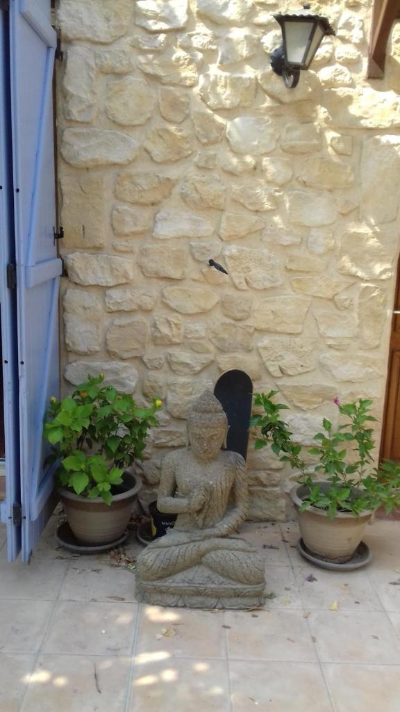 Mas de l'Olivier photo 4