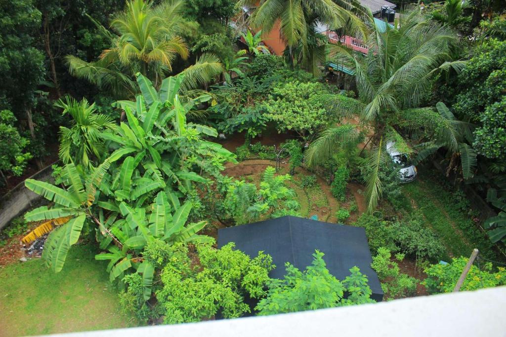 Heritage Eco Resort Kelaniya photo 3