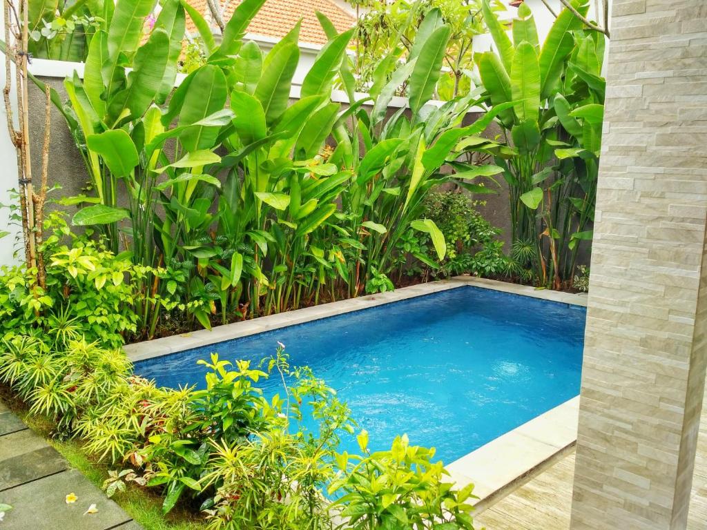 Вилла (Вилла с 1 спальней и бассейном), Amelle Villas & Residences Canggu