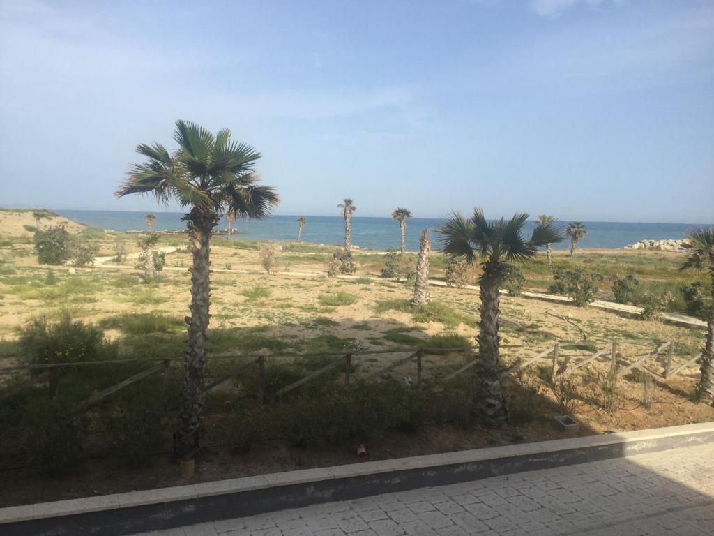 Marina di Cala del Sole photo 4
