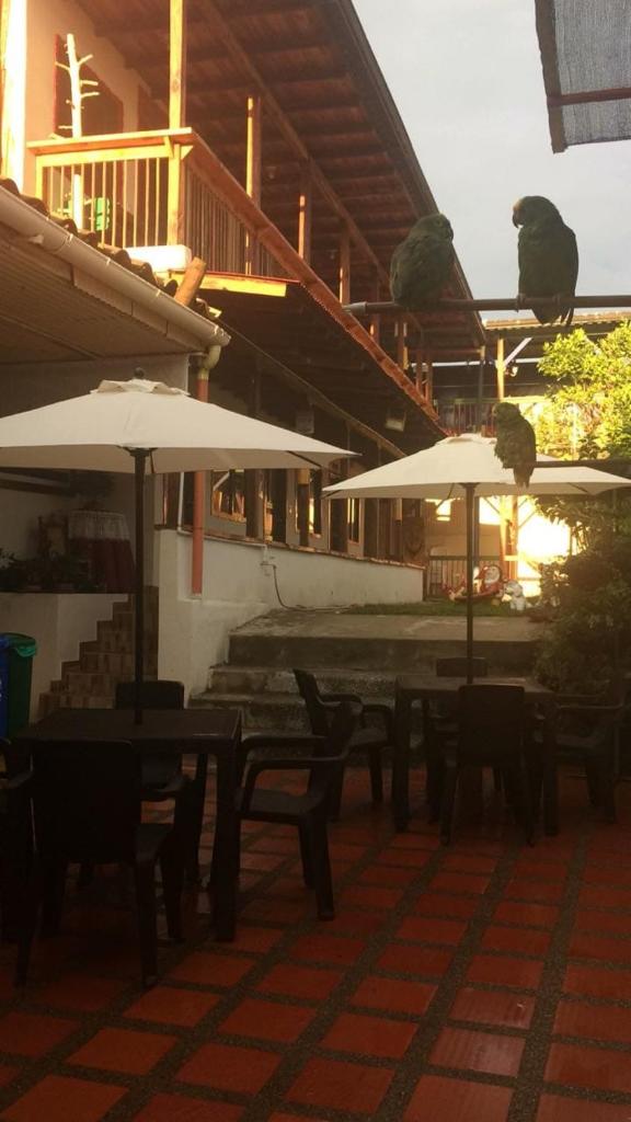 Aroma Cafetera