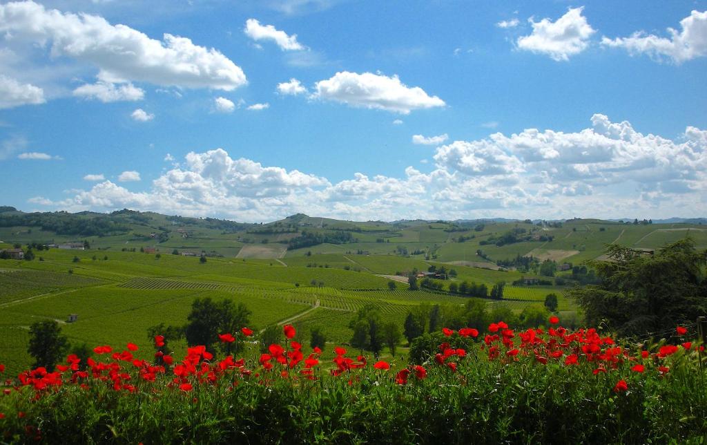 Cascina tra i vigneti a Nizza Monferrato photo 2