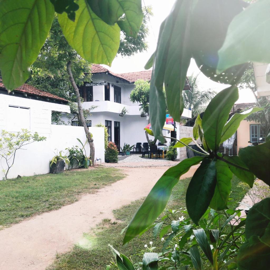 MrMango Weligama - Tap to explore photos