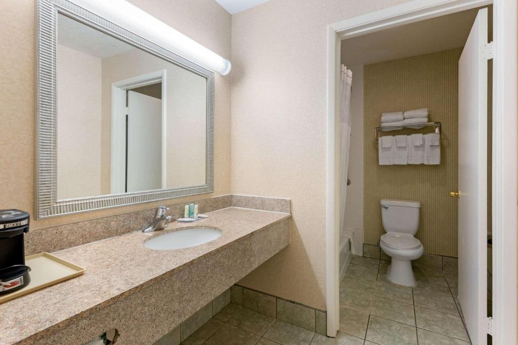 Quality Inn & Suites Oceanside near Camp Pendleton image