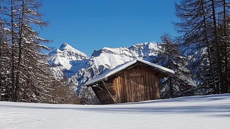 Haus Gamskogl photo 1