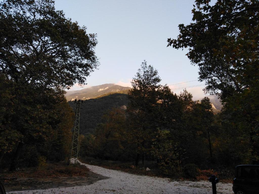 Complex Magic of the Rhodopes photo 4
