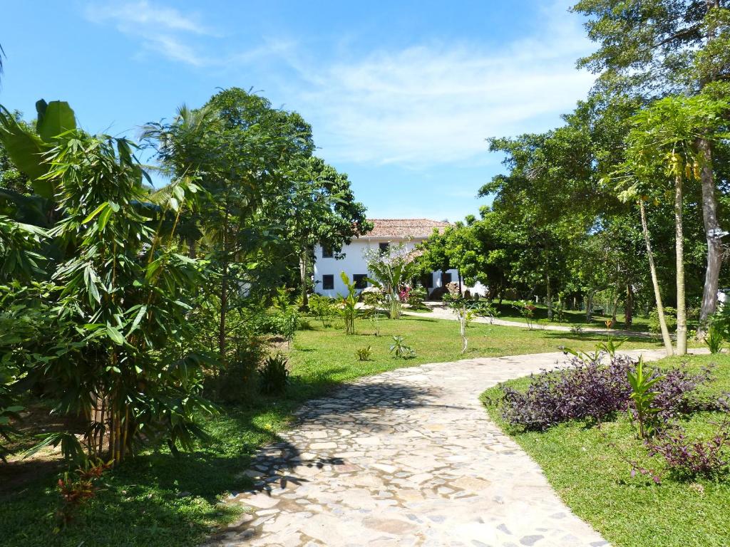 Tropical Dream Villa photo 3