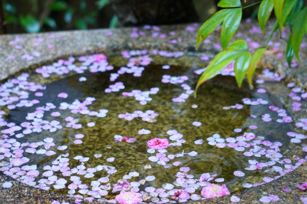 Atelier Bee's Knees Bed & Breakfast photo 4