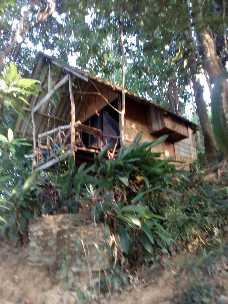 Nice View Bungalow photo 2