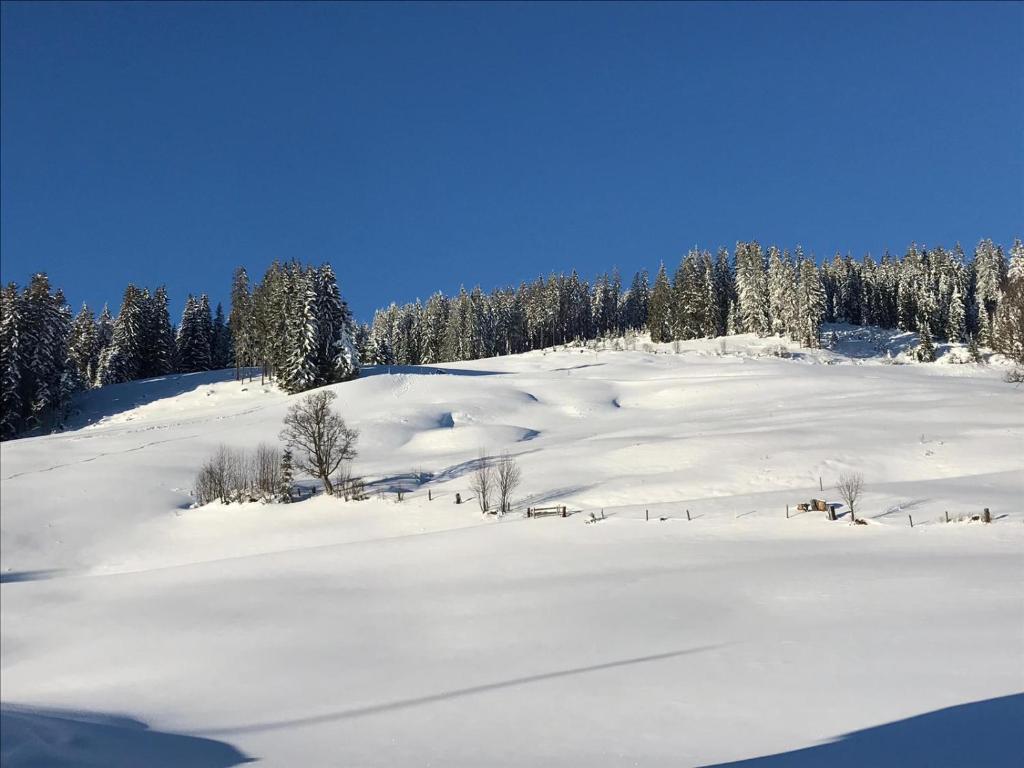 Bergpension Zinting photo 3