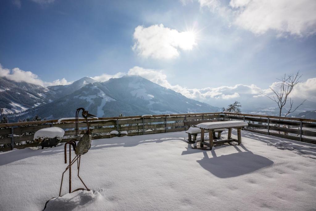 Bergpension Zinting photo 2
