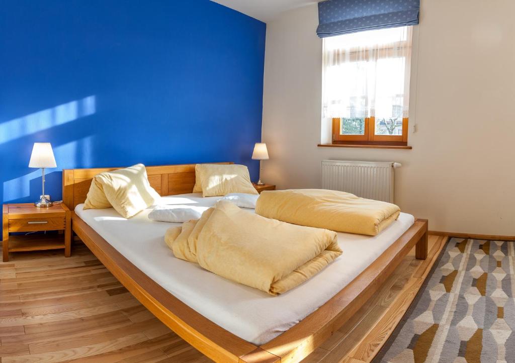 Апартаменты (Апартаменты с 1 спальней), Penzion u Pejtrika