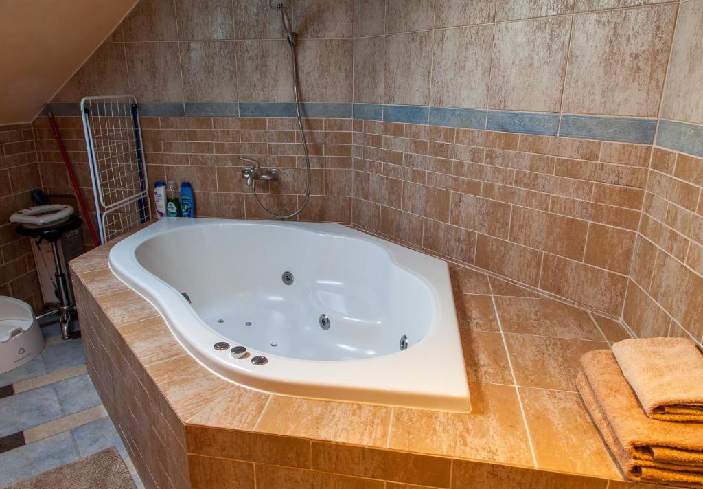 Апартаменты (Апартаменты с 3 спальнями), Penzion u Pejtrika