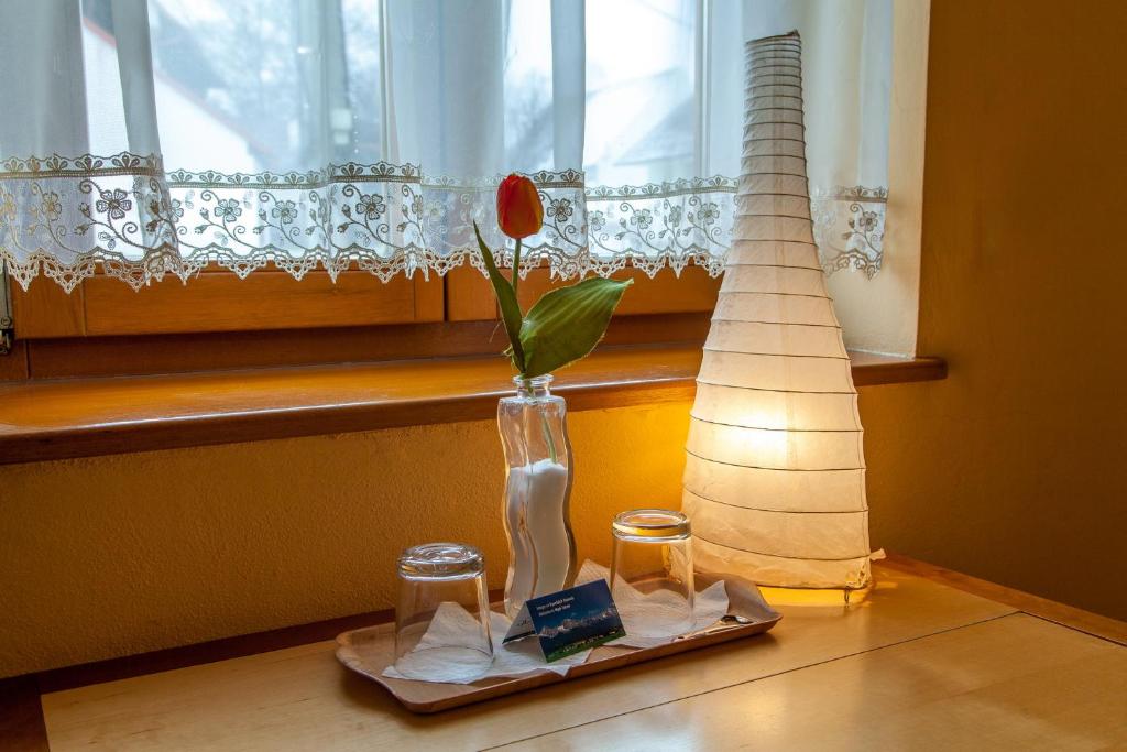 Студио (Номер-студио Делюкс), Penzion u Pejtrika