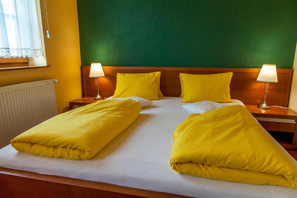 Студио (Номер-студио Делюкс), Penzion u Pejtrika