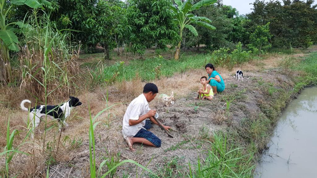 Stiermann's Ricefield Lodge