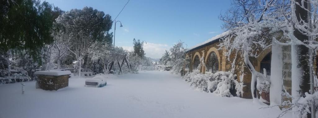 Agriturismo PETRA LUCANA photo 3