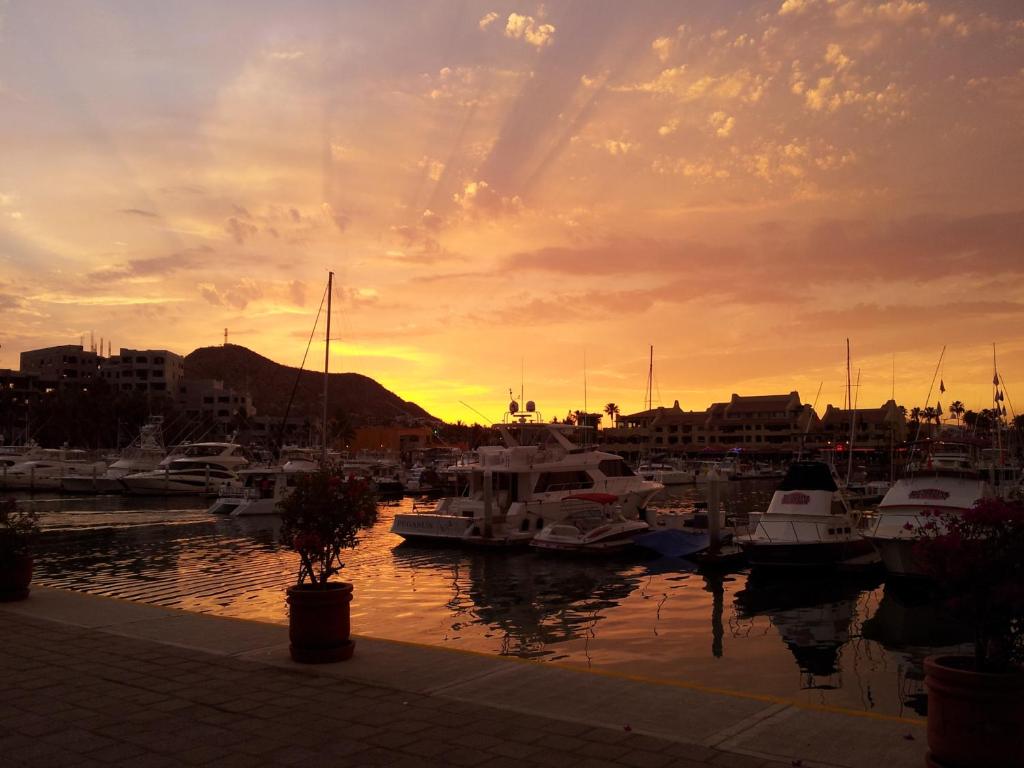 Marina Cabo Plaza Town & Beach Condos photo 1
