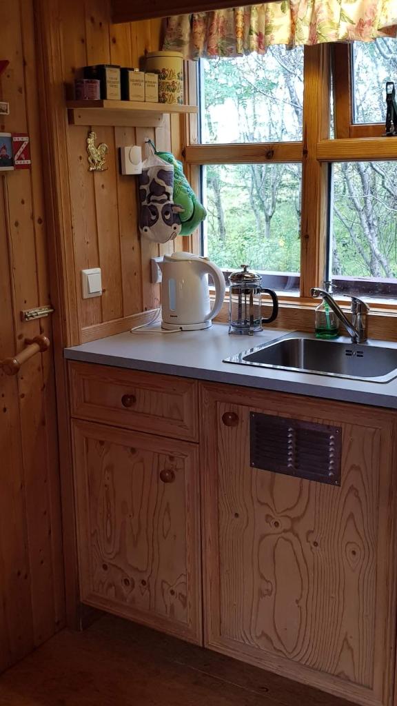 Cozy Cabin in the Woods photo 4