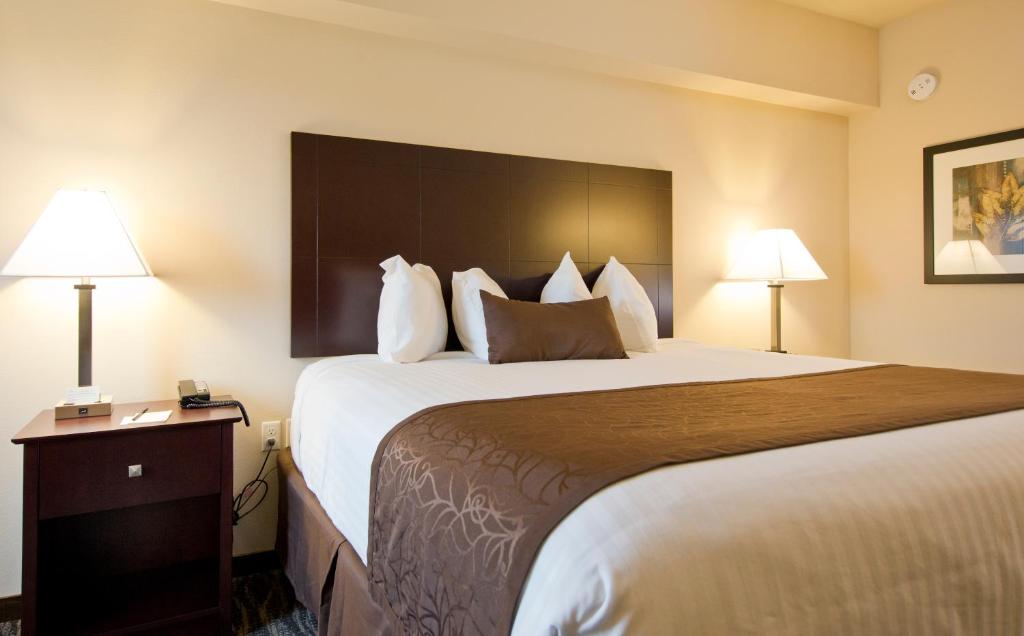 Cobblestone Inn & Suites - Boone photo 1