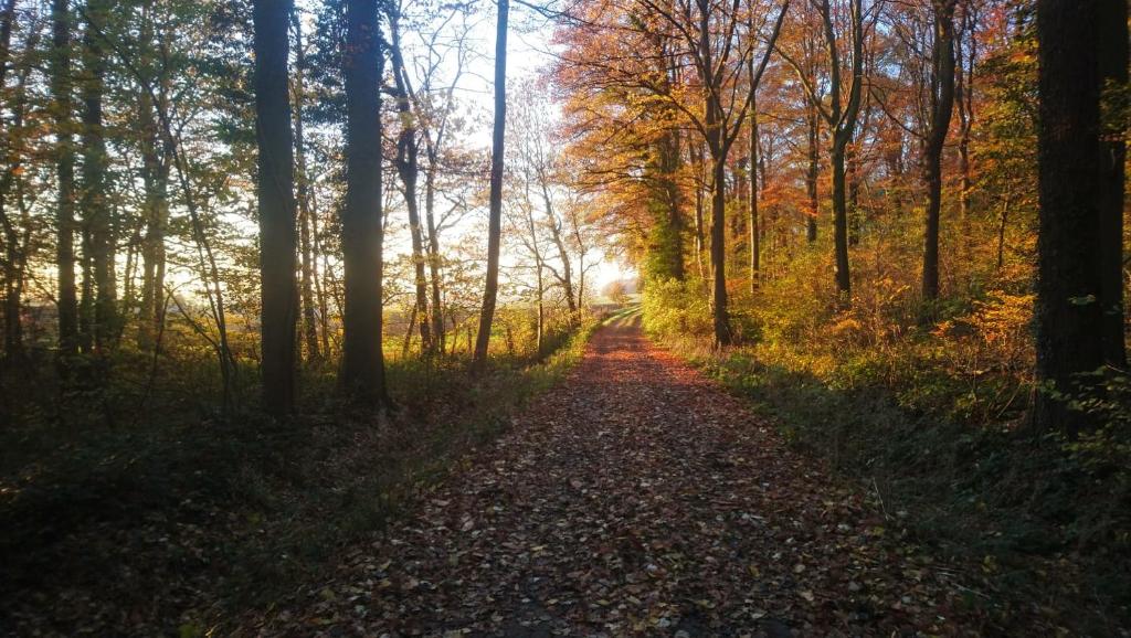Petit Bonheur photo 3