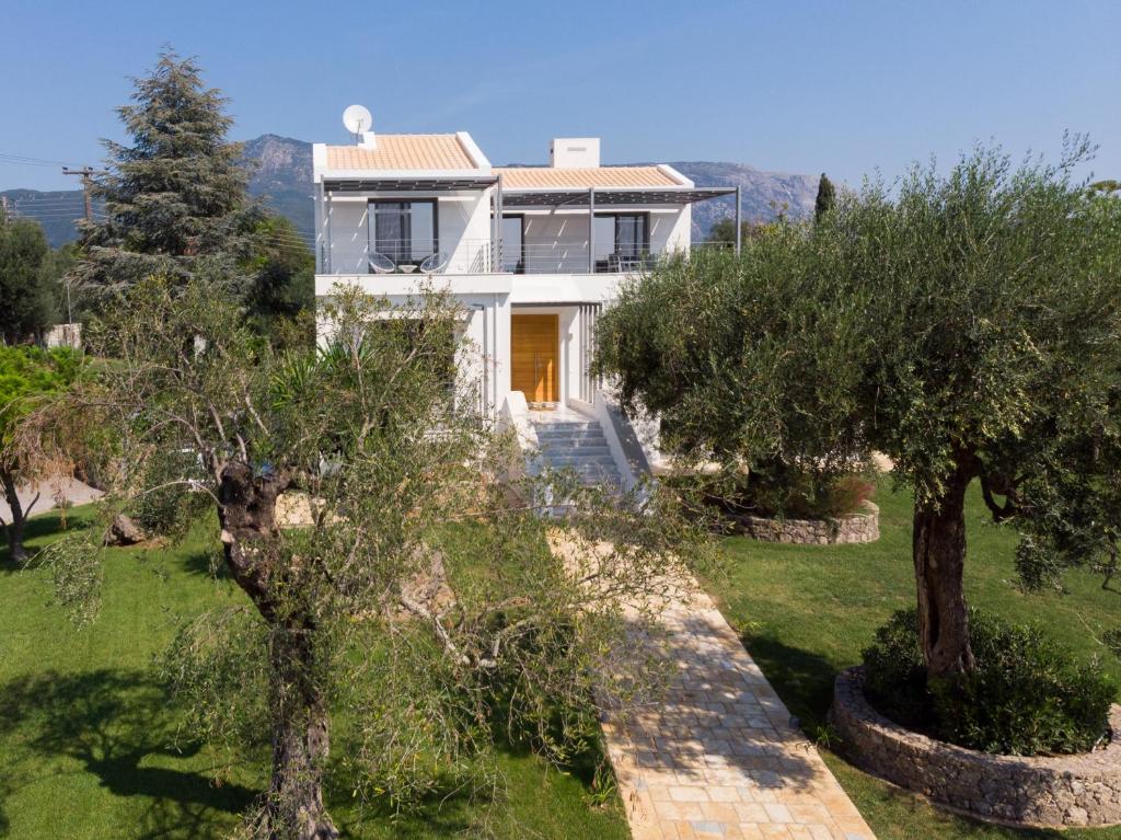 Villa Ren photo 4