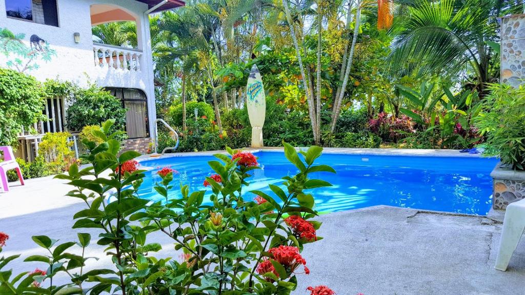 Pacific Jungle Condominium photo 1