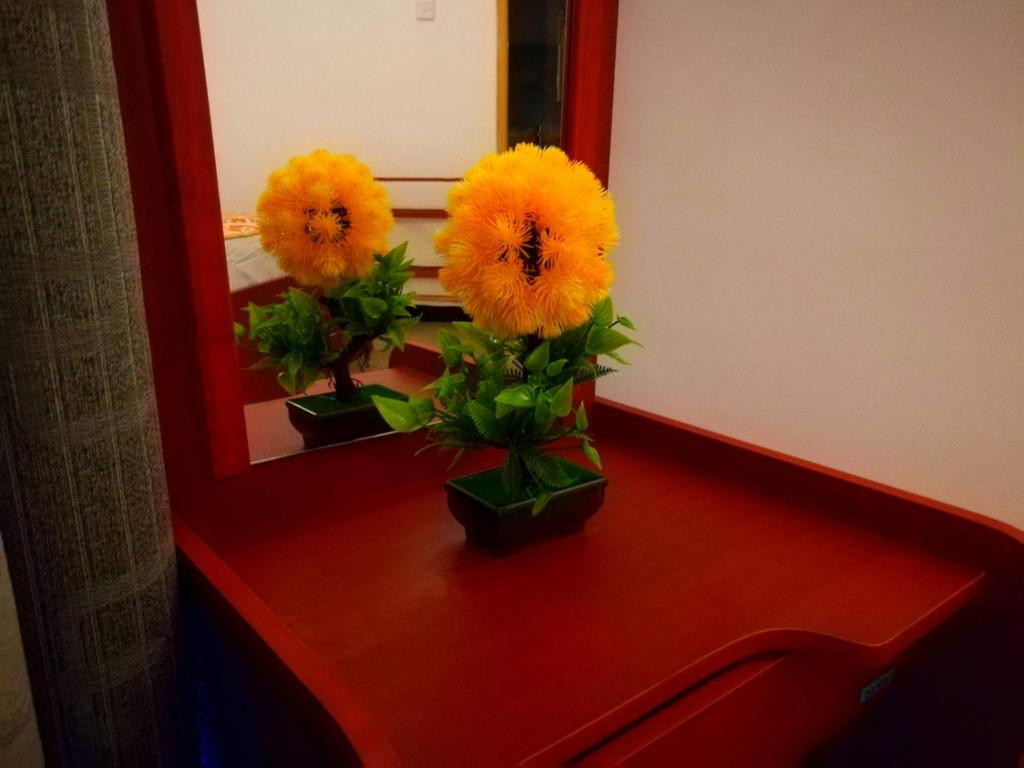 Temple Hill Rooms photo 2