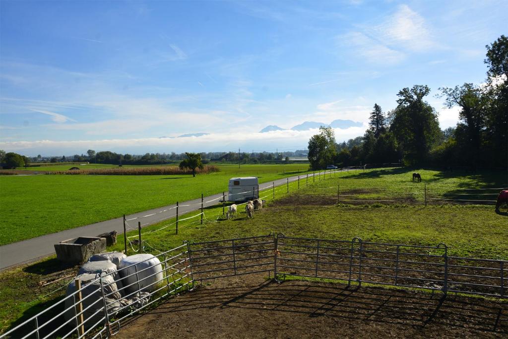 Ribelhof photo 1