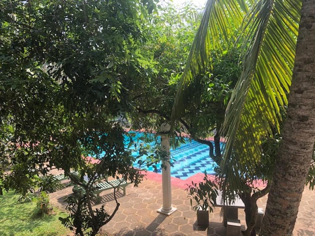 Ypsylon Tourist Resort photo 2