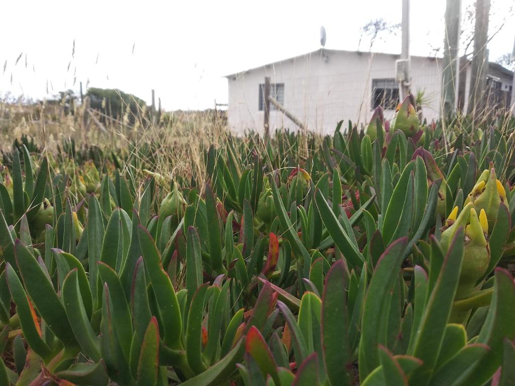 La casa de Juan photo 2
