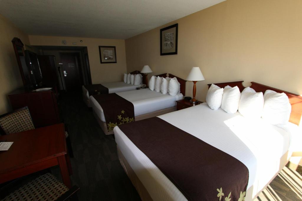 Gold Leaf Hotel of Dewey photo 3