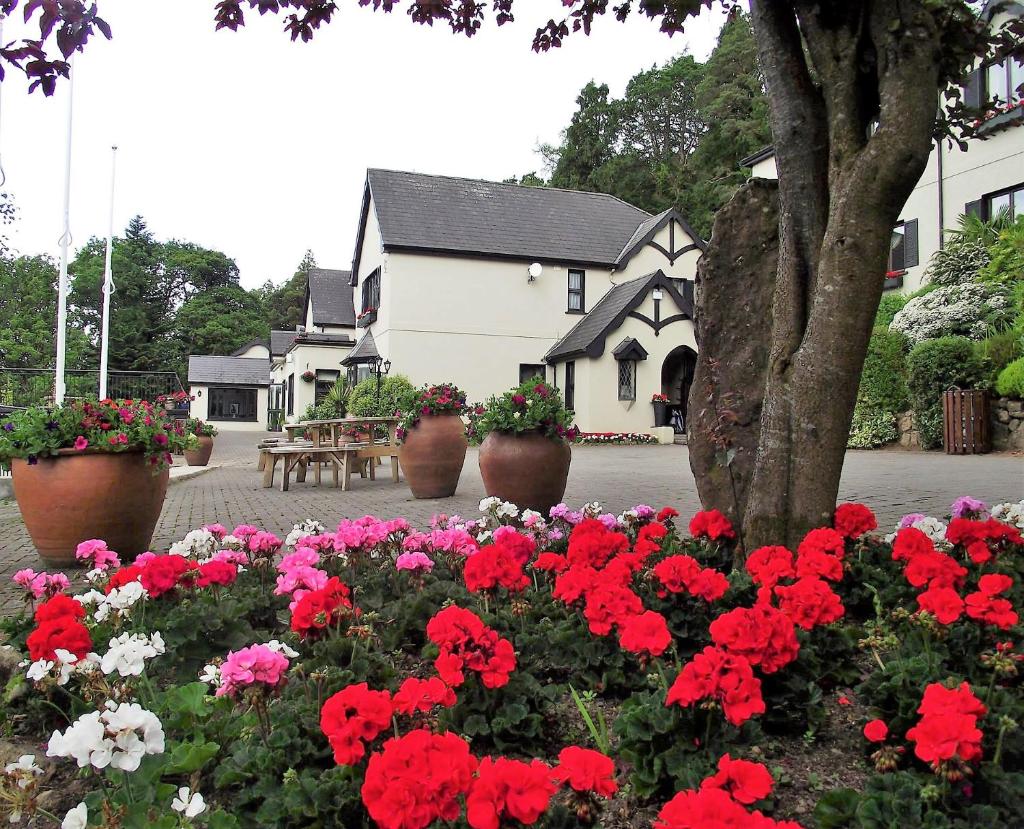 Aherlow House Hotel & Lodges photo 3