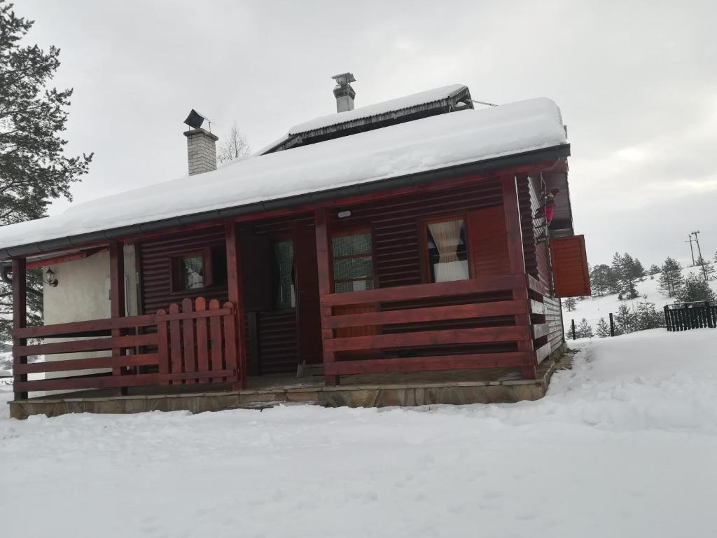 Woodpeckers house photo 2