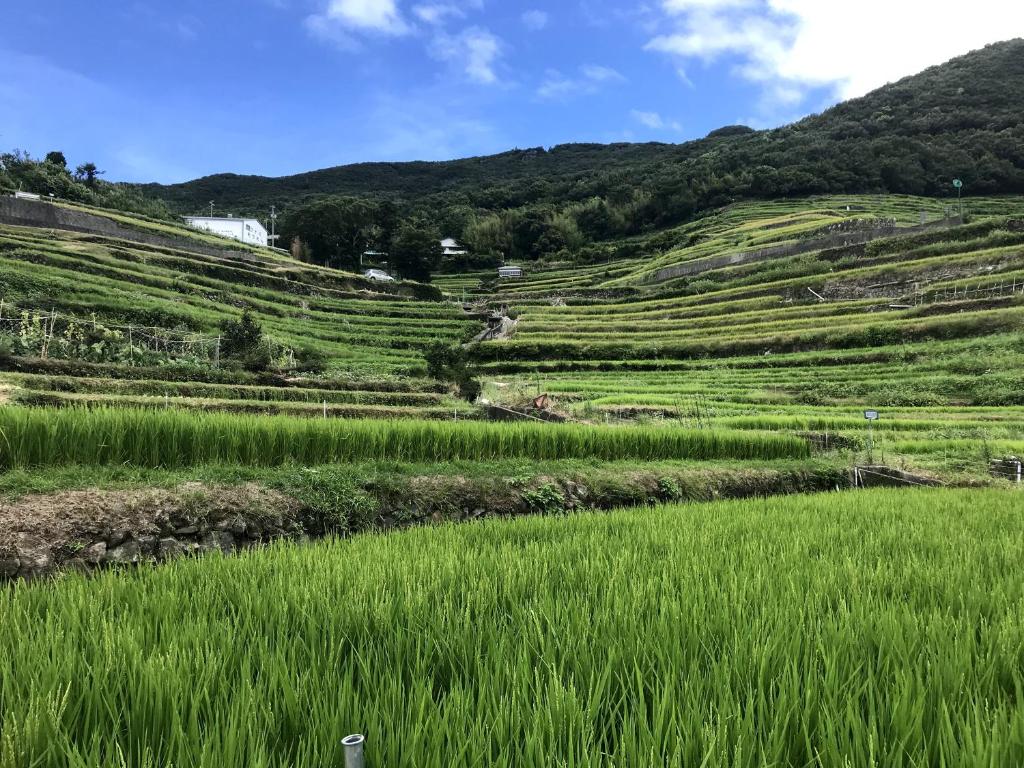 Engawa photo 4