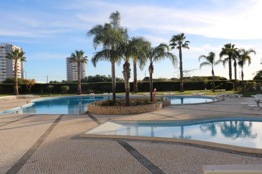 Vila da Praia - Apartamento Viva Local photo 3