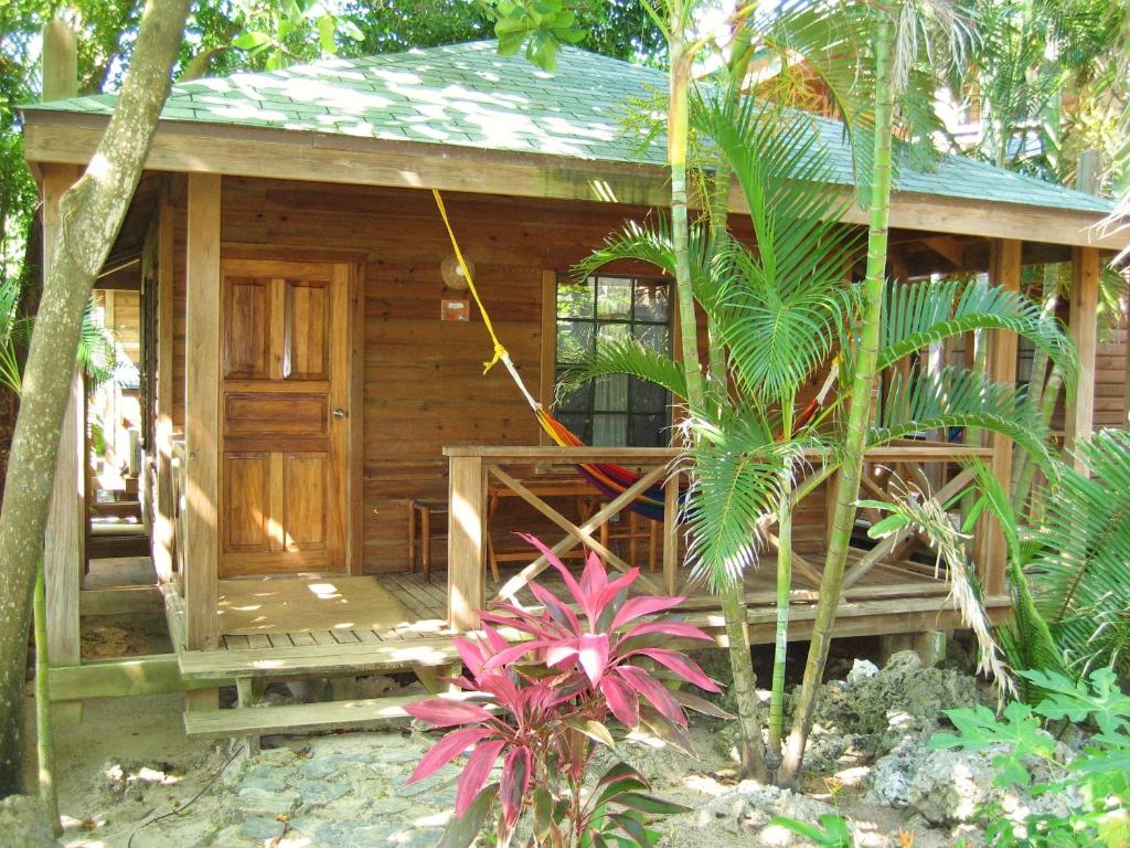 Las Rocas Resort and Dive Center photo 3