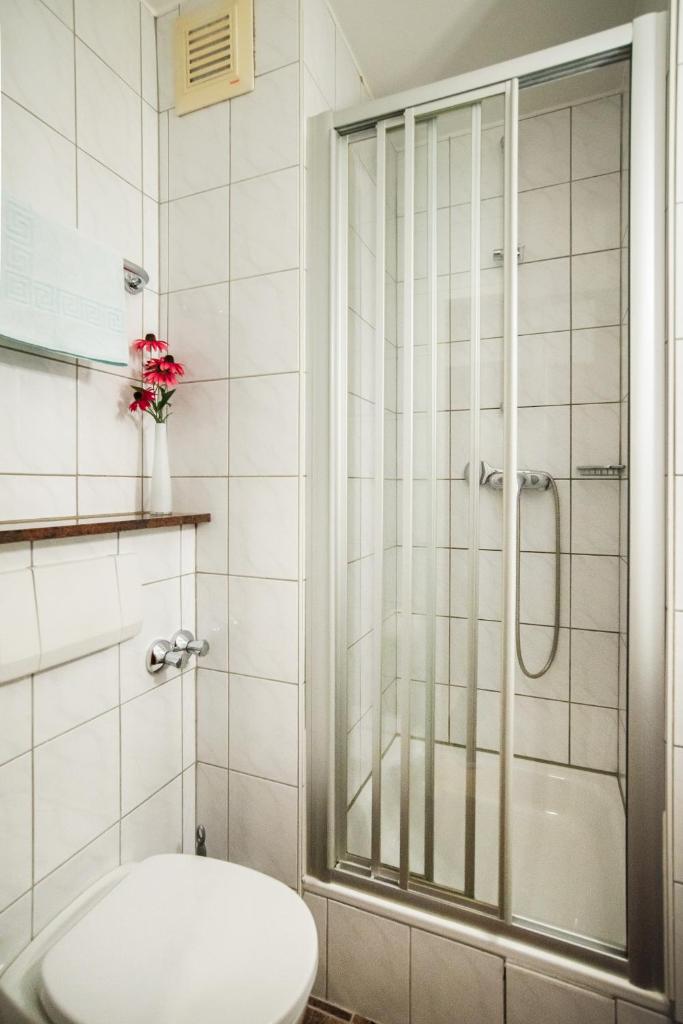 Одноместный (Одноместный номер), Hotel Domblick Garni