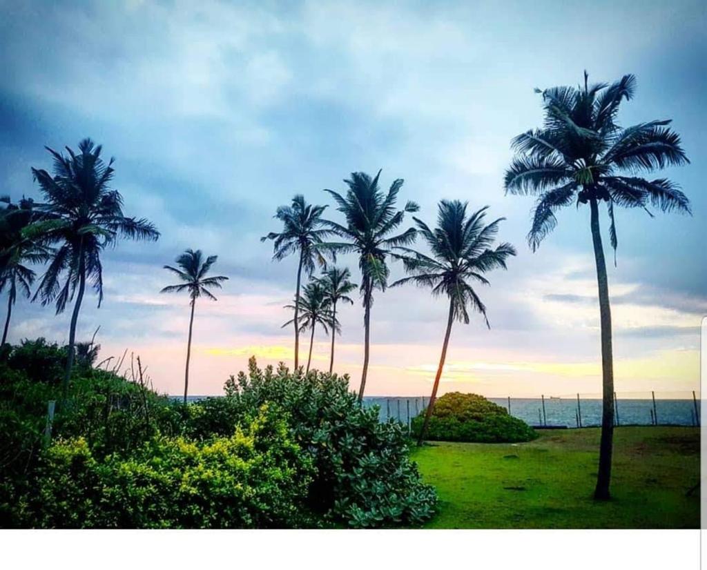 Villa by the Sea, Negombo-Katunayake photo 4